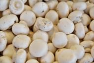 Healthy fungi (Image via Unsplash/Waldemar)